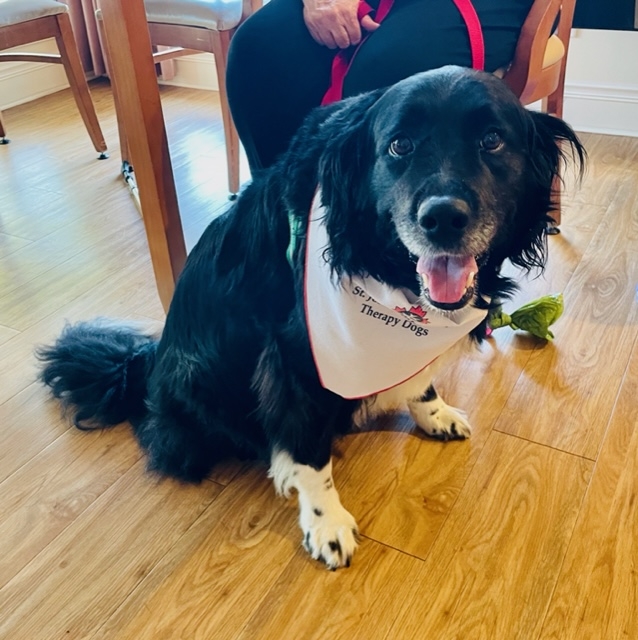 Sherwood House offers to combine Dog therapy with a friendship circle group